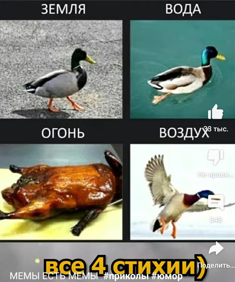Мем без подписи