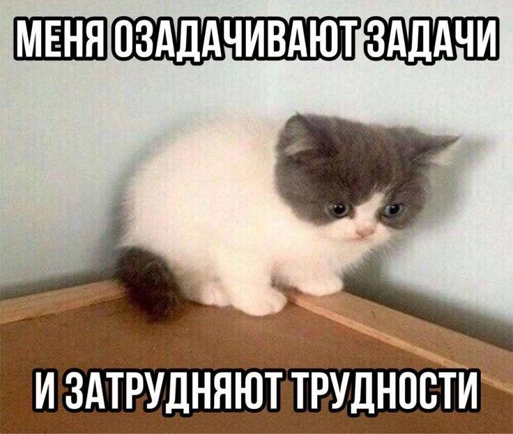 Осилить силу
