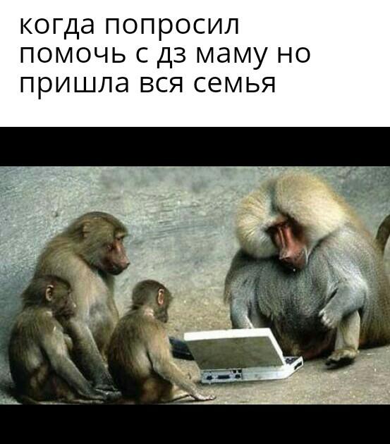 Мем от LiMAG