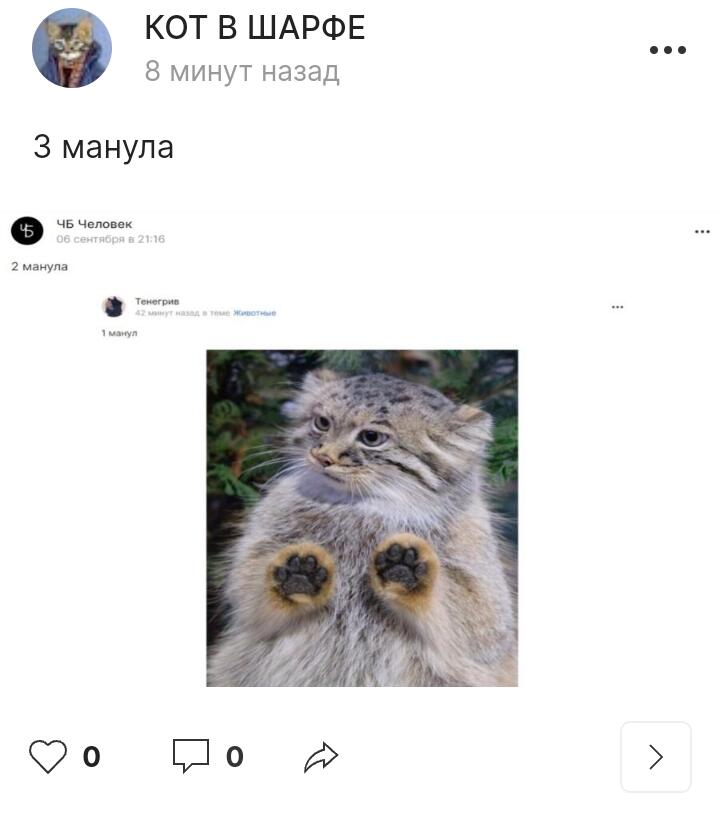 4 манула.