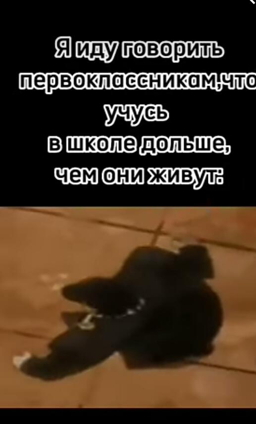 Ребята 14 и старше. Вы знаете что делать.