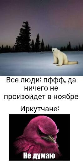 Белый медведь сидит на снегу, ниже — розовая птица с надписью Не думаю