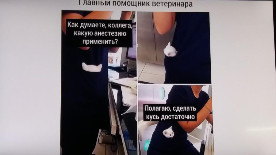 Да с этим непаспориш