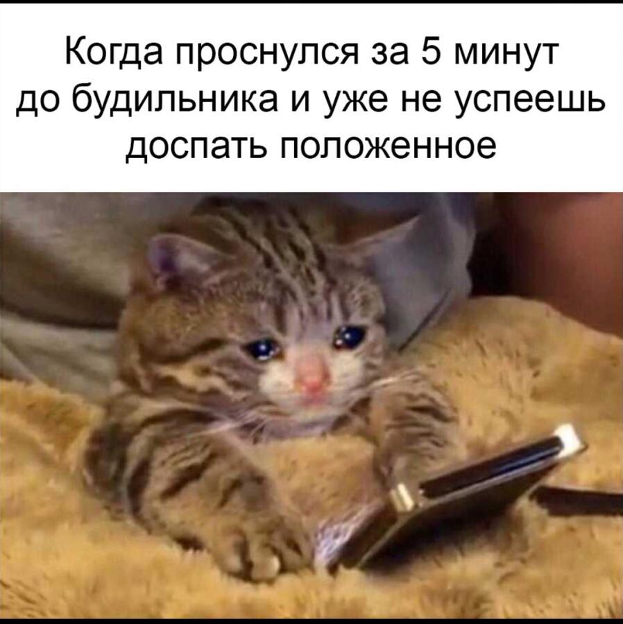 Доброе утро
