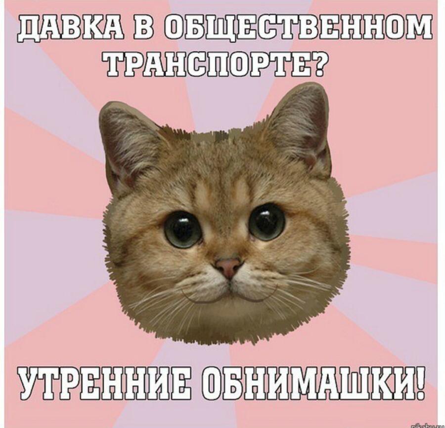 Всем утренние обнимашки