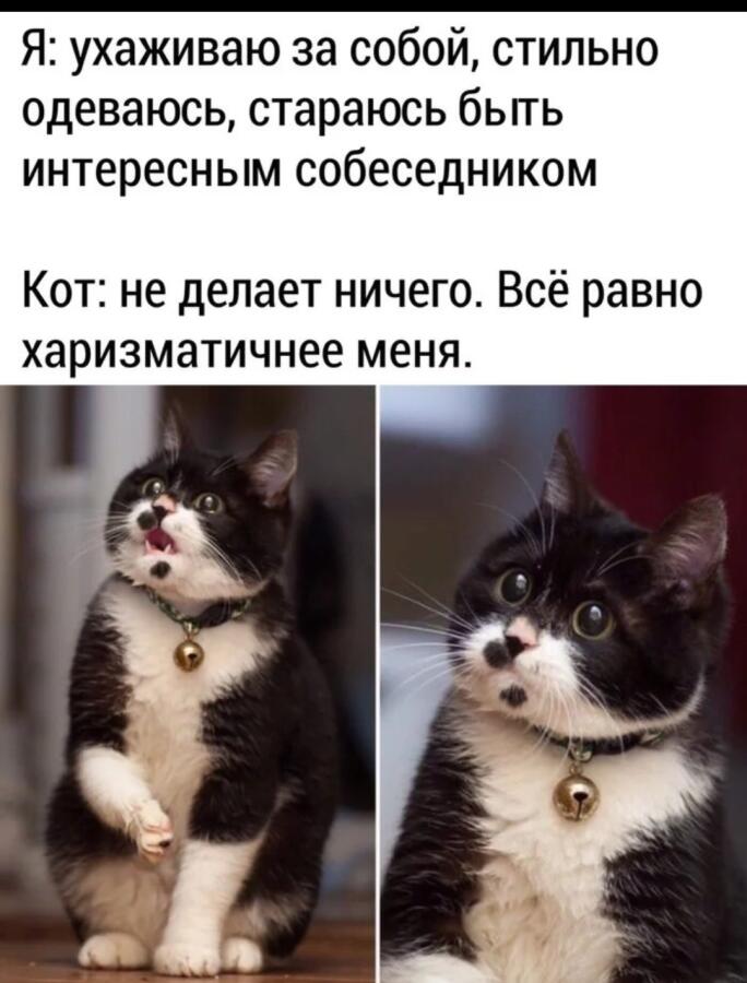 Мем от Vaf_le
