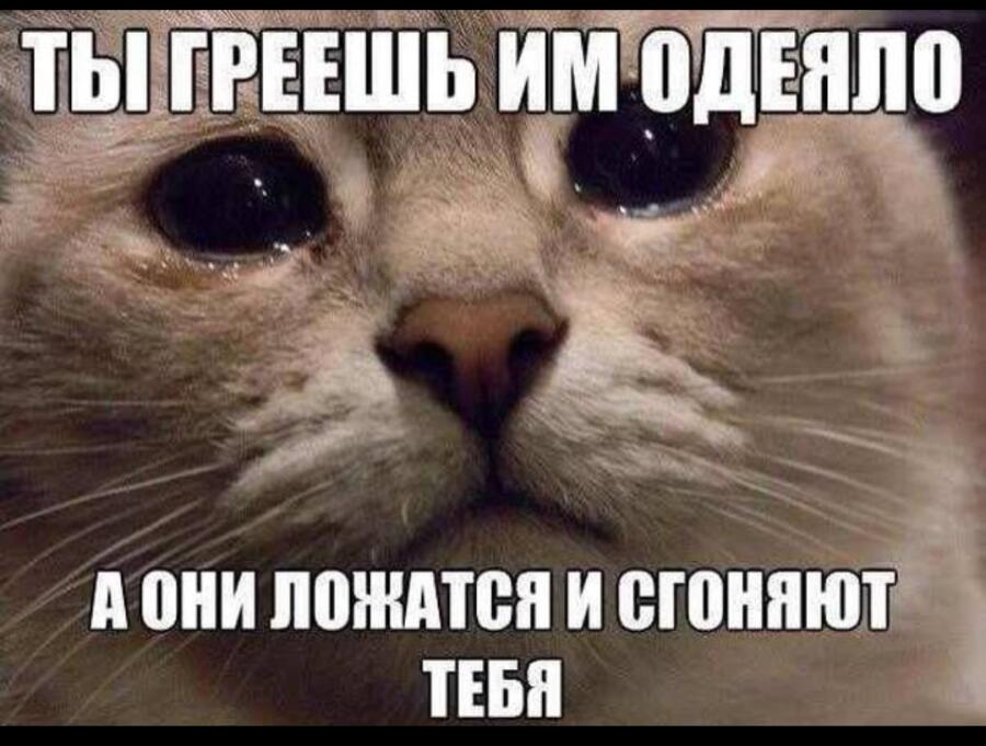 Мем от Vaf_le