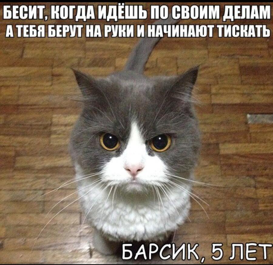 Мем от Vaf_le