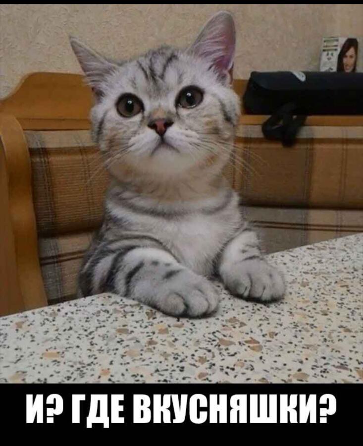 Когда открыл холодильник , но там нет ничего вкусного