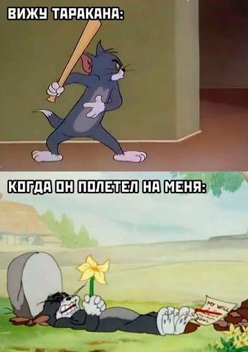 Мем от Мемный Мозг ꧁༺ 𝓑𝓔𝓑𝓔𝓟𝓛𝓜 ༻꧂