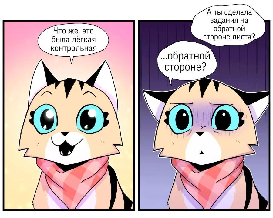 Кот в розовом шарфе счастливо говорит про лёгкую контрольную, а потом с ужасом узнаёт, что задания были на обратной стороне