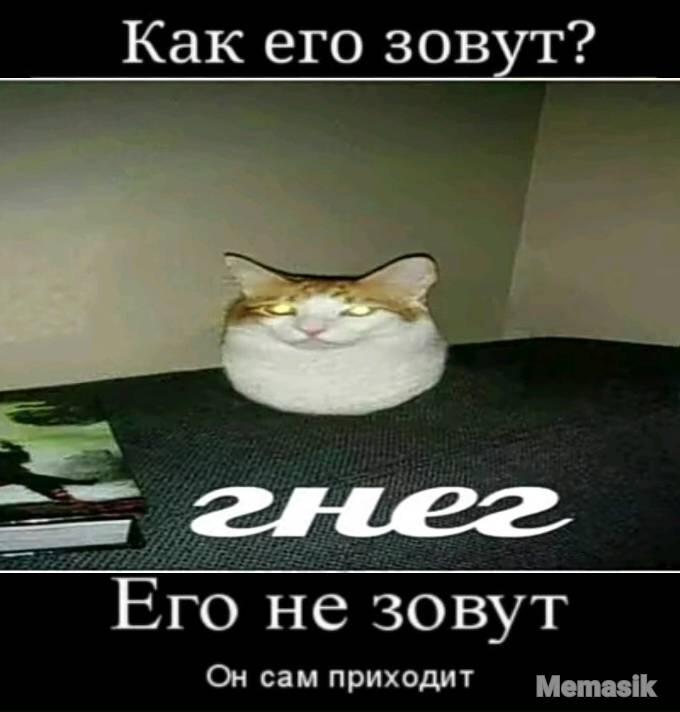 Мем от GLEBCAT