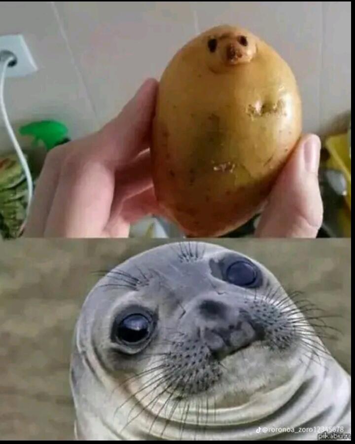 Мем от GLEBCAT