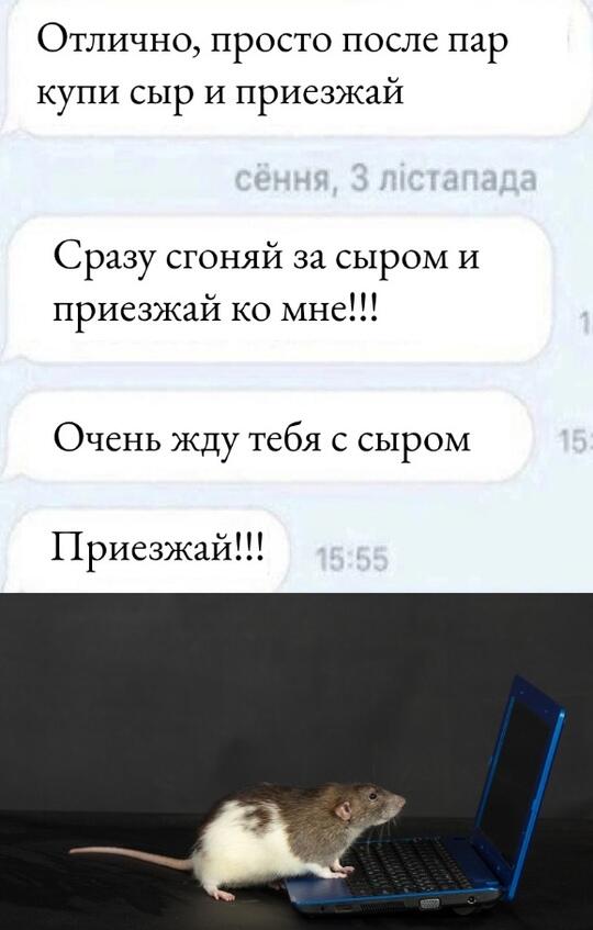 Мем без подписи