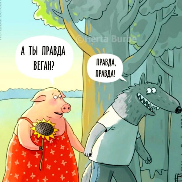 Пара