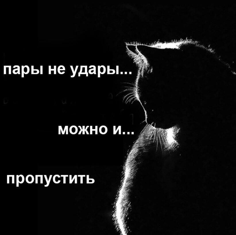 Мем от Маэстро[ПЛМ]