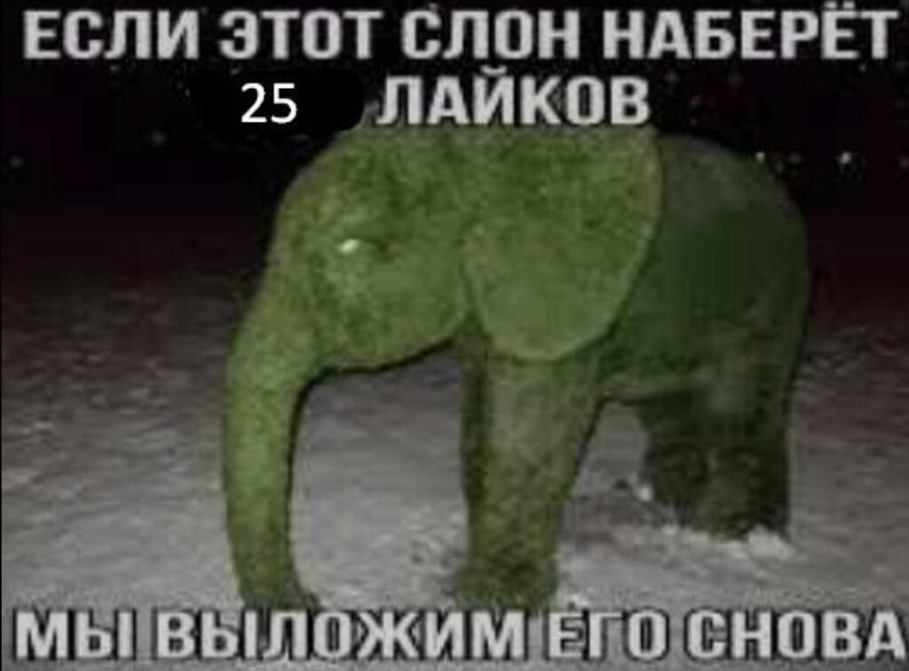 Посмотрим