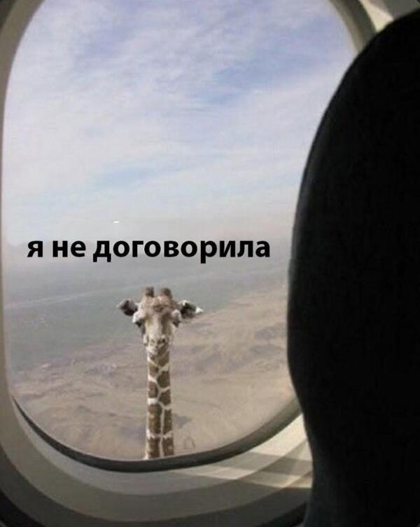 Мем от Qlla