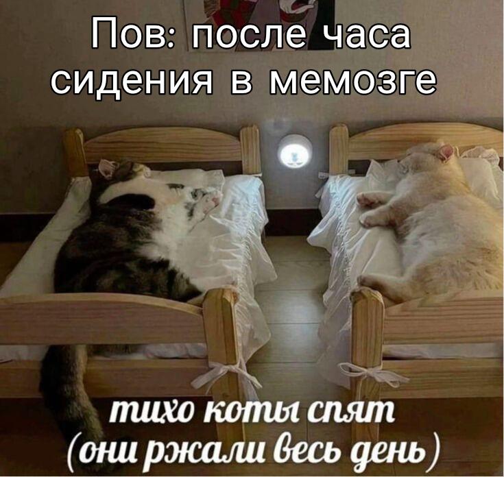 И так, в связи с обновлением, я возвращаюсь в мемозг!