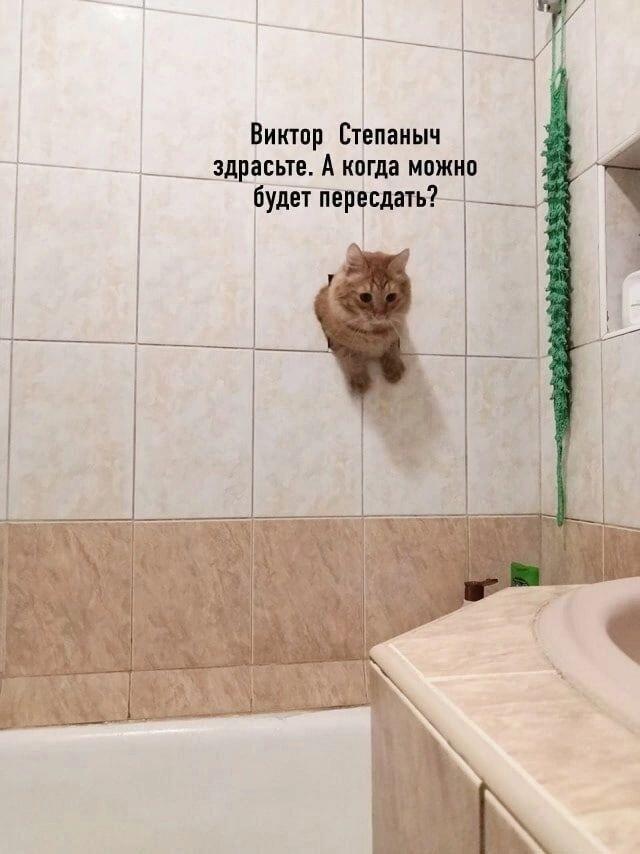 Мем без подписи
