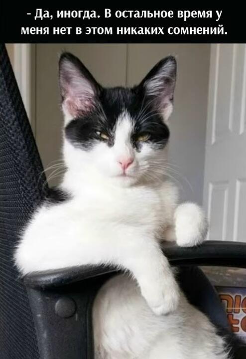 Мем от Максим Котович