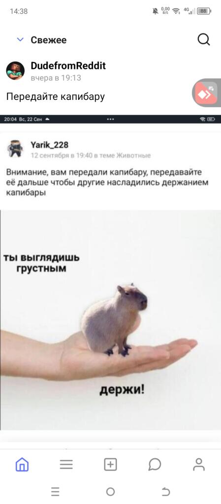 Передаю капибару дальше берите