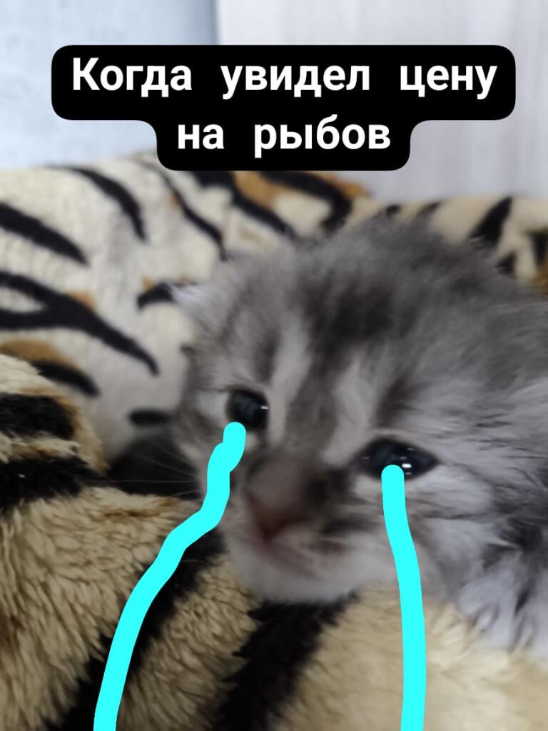 Мем от Srego