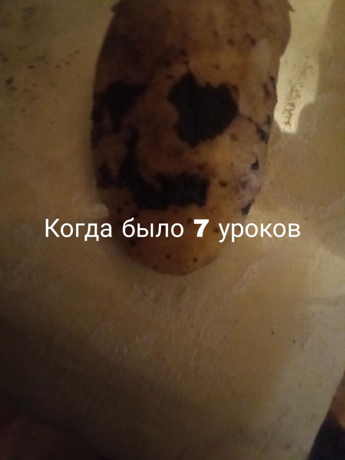 Любой школьник после 7 уроков