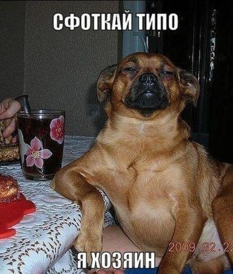 Когда тебе дали 2 котлеты в столовке вместо одной