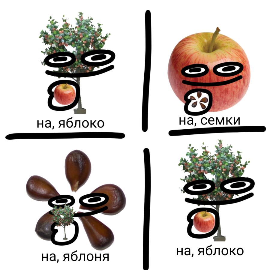 На, яблоко