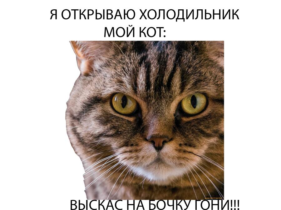 Мем от Deniska_fun