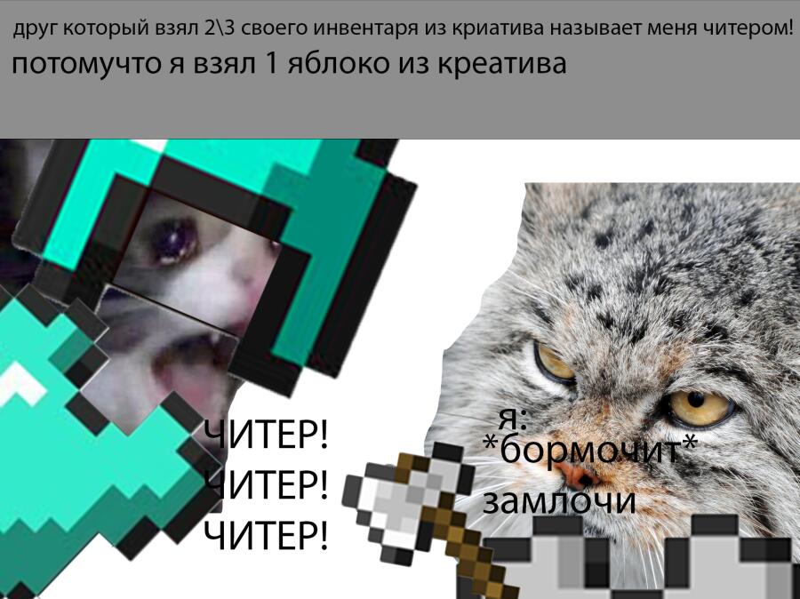 мем1
