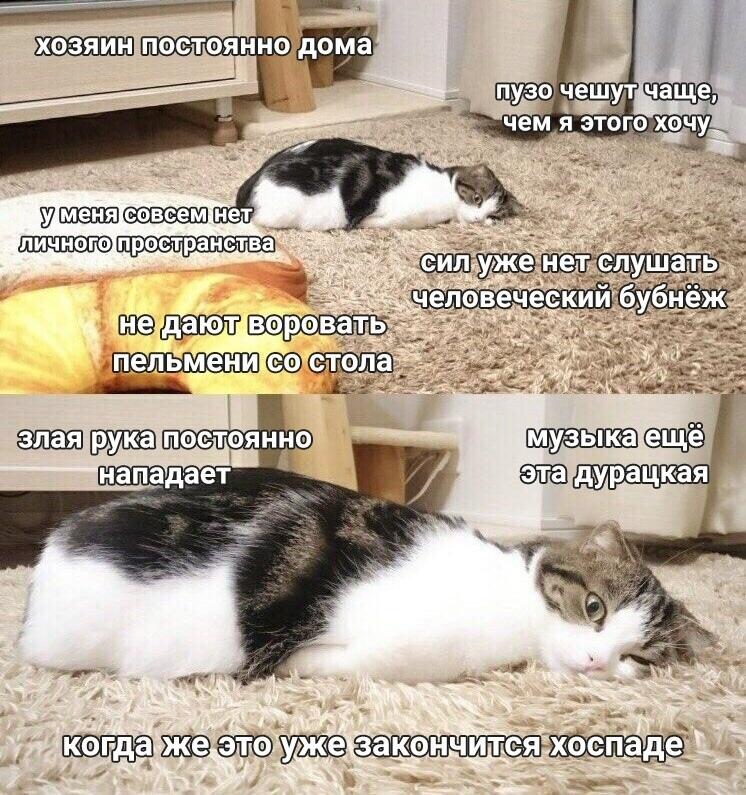 Мем без подписи
