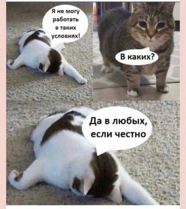 Мем без подписи