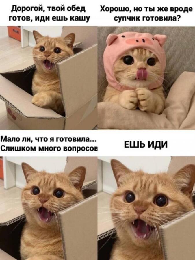 Мем от Alexey_Sovenok