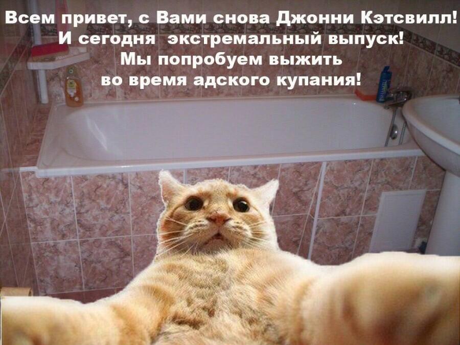 Мем без подписи