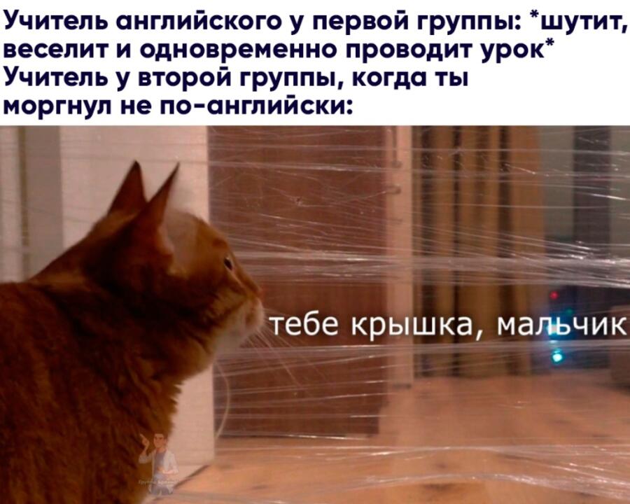 Мем без подписи