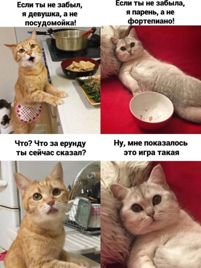 Мем без подписи