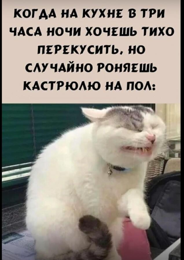 Мем без подписи