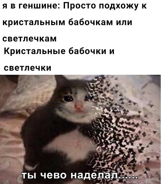 Мем от MiaDoe