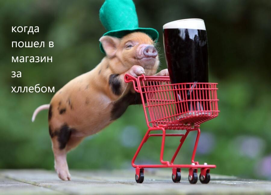 я новичок решил сделать мем
