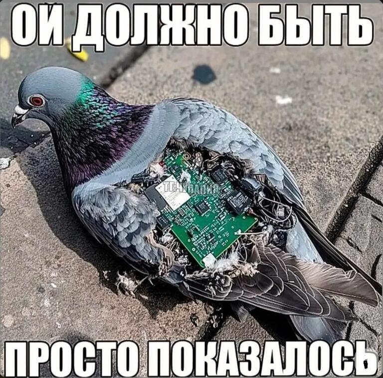 Это автоматоны из последней реальности: