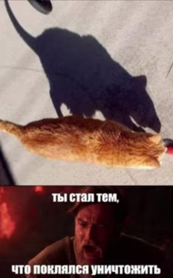 Мем от Starwars memes