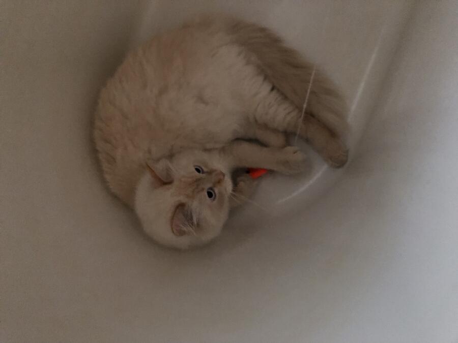 Я моюсь:
