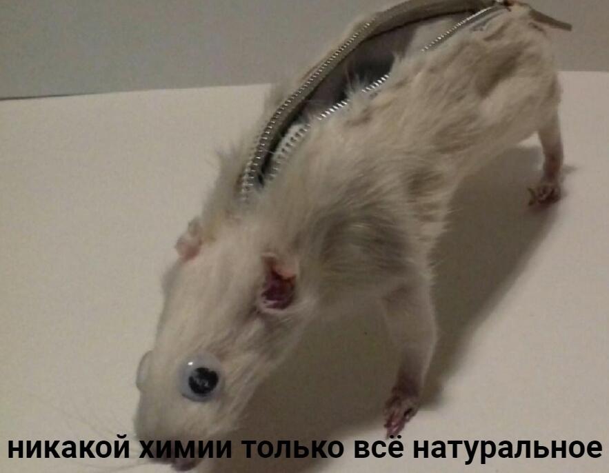 купите за 4857885467 долларов все натурально