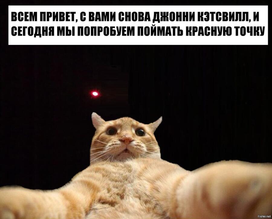 Мем от veronichkafansovi