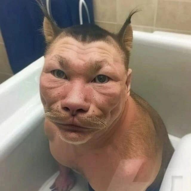 Мем от veronichkafansovi