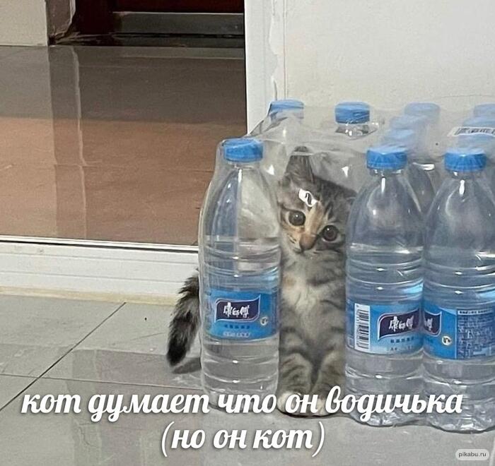 маскировка среди врагов  (воды)