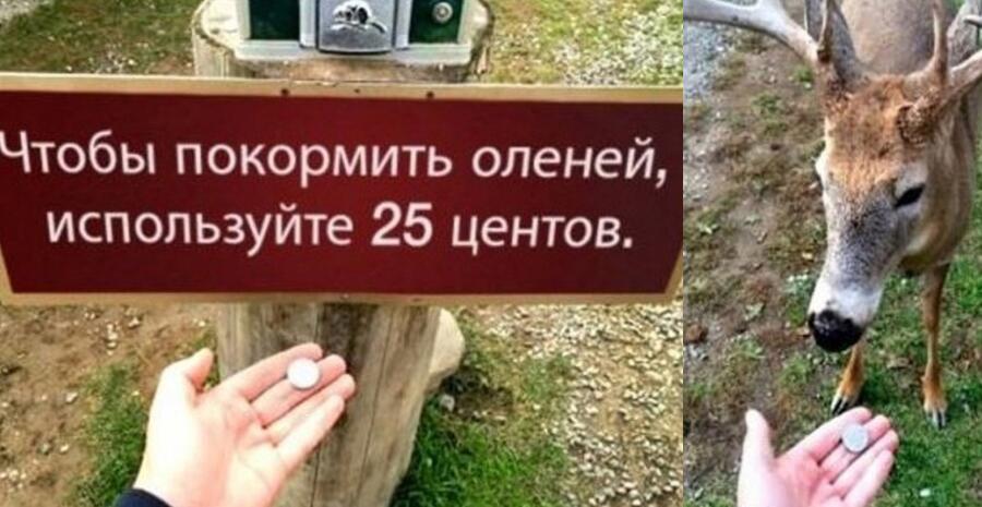 Когда понимешь Всё буквально.