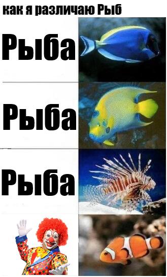 Тонкий юмор
